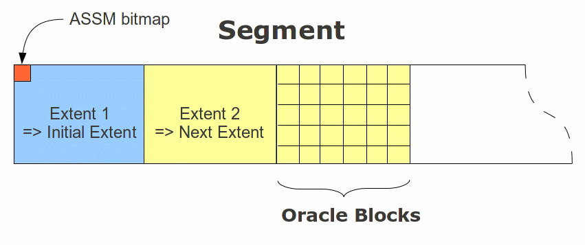 segments