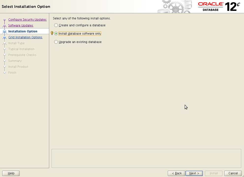 Select Installation Option