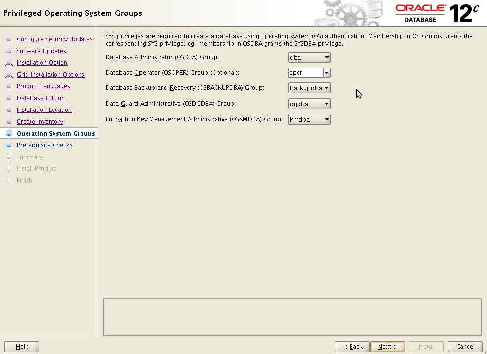 Privileged Operating System Groups