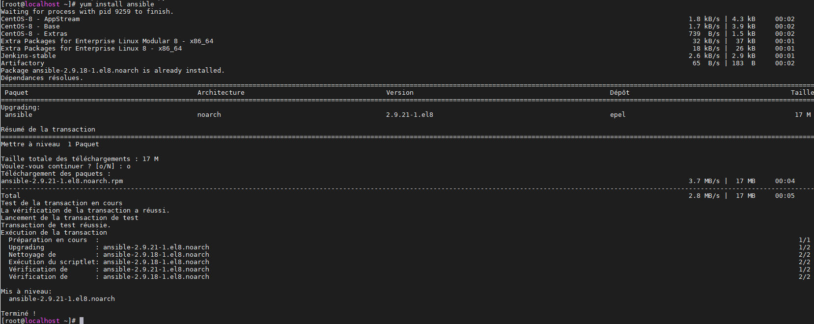 Ansible ping