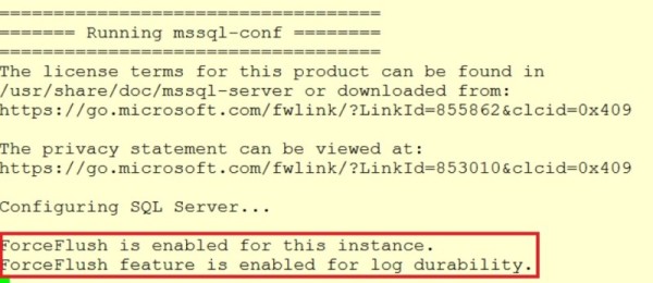 blog 140 - 2 - forceflush