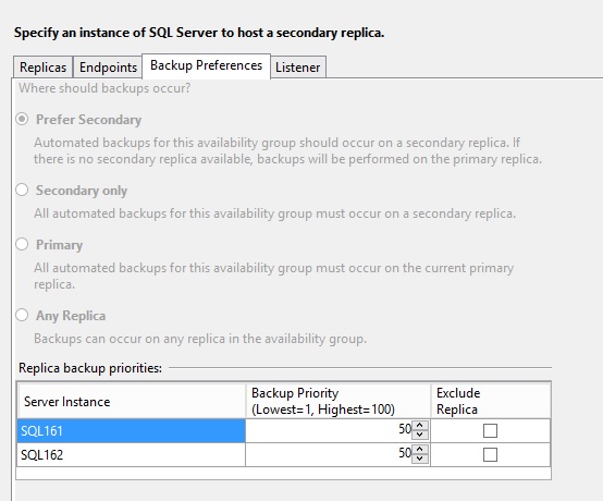 blog_50_-_3_-_bag_backup_preference