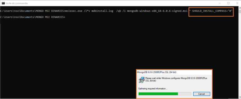 Installing Mongo Shell dbi Blog