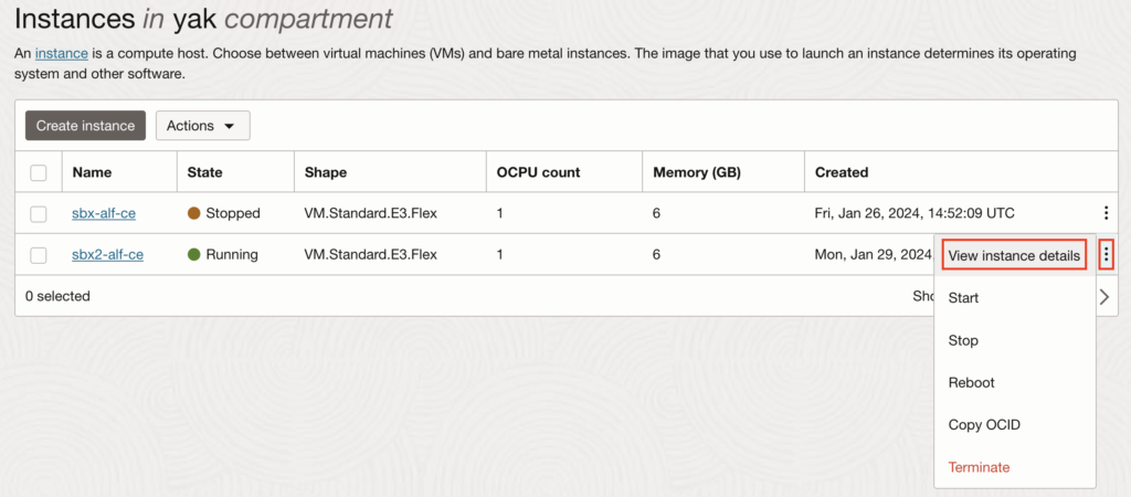 View an instance details